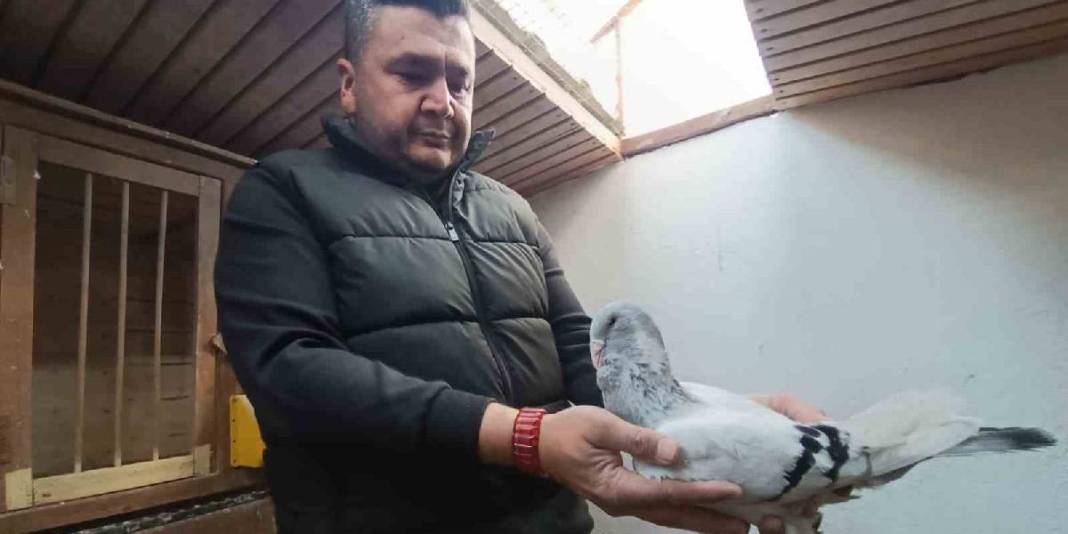 Memurluktan çocukluk hayaline geçiş yaptı! Bir tanesinin fiyatı 1 milyon lirayı buluyor 5